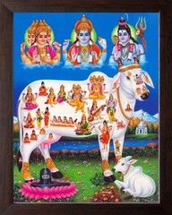 Lord Brahma, Vishnu, Mahesh with Kamadhenu Cow Wall Decor Painting Frame