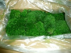 Preserved Pole Moss Pillow 15.0 Sq Ft