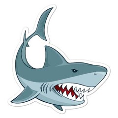 Bull Great White Shark, Vinyl Decal Sticker, Indoor Outdoor, 3 Sizes, #8093