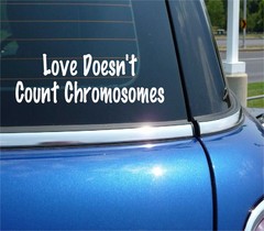 LOVE DOESN’T COUNT CHROMOSOMES DECAL STICKER DOWN SYNDROME AWARENESS CAR TRUCK