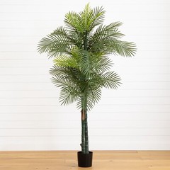 7’ Double Robellini Artificial Palm Tree UV (Indoor/Outdoor). Retail $205