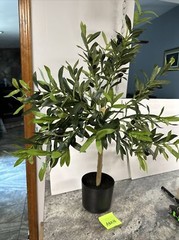 RARE 36” Wicker Park Faux OLIVE TREE 3ft Indoor Outdoor Landscape Growers Pot