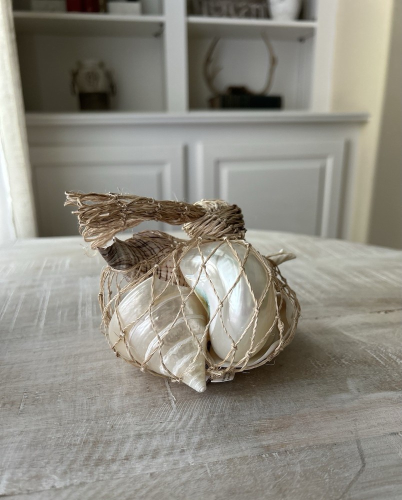 Pottery Barn Mixed Shell Vase Filler – 5 Shells NWT