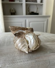 Pottery Barn Mixed Shell Vase Filler – 5 Shells NWT