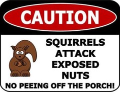 2 Count Caution Squirrels Attack Exposed Nuts No Peeing Off The Porch Funny Sign