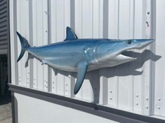 57″ Mako Shark Half Mount Replica – Quick Production
