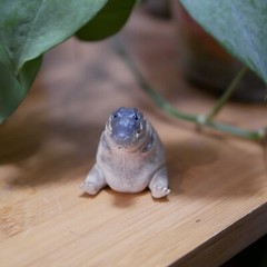Creative Small Tea Pet Collectible Crocodile Statue for Desktop Tea House Decor