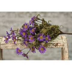 New Primitive PURPLE Mini DAISY STEM BUSH Spray Daisies Cottage Chic Country 15″