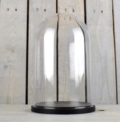 Medium Glass Dome Display Cover Cloche Black Base Height 30 x 20 cm