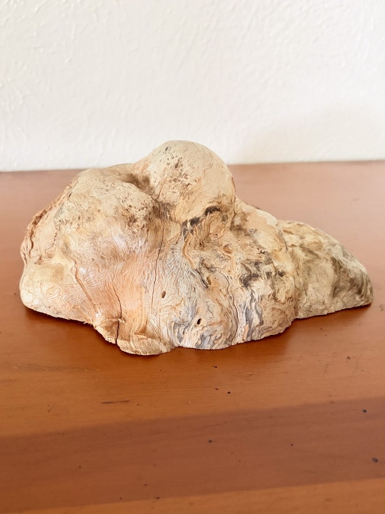 Burled Driftwood Decorative Tabletop Decor