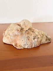 Burled Driftwood Decorative Tabletop Decor