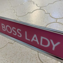 2″x 8″ Funny Joke Desk Name Plate Holder Set » Boss Lady » Custom Engraving Pink