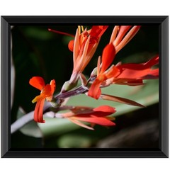 Uzifa 10×12 Picture Frame, Black Engineered Wood Photo Frame for Wall Display