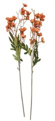 Terracotta Coral Dogwood Stems Faux Wax Flower Burnt Orange Floral Fall Decor 24