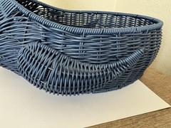 Ciroa Toucan Bird Basket Cute Storage Tropical Basket