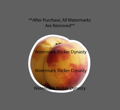 Peach Sticker Waterproof Decal Fruit Food Tree Health Gift NEW