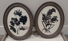 Set Of Black And White Botanical Prints under Glass In Oval Frame Gallery Wall