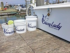 Completely Custom Vinyl Logo Sticker for Cars Trucks Boats Windows Tumblers