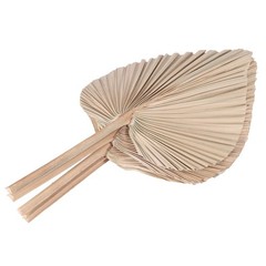 Dried Palm Leaves Room Decor 5 Pieces – 18Inch H x 10Inch W Natural Palm2367