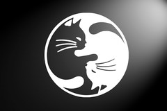 Ying Yang Cats Peace CNC cut Decal Vinyl Sticker Pic multiple colors! O651