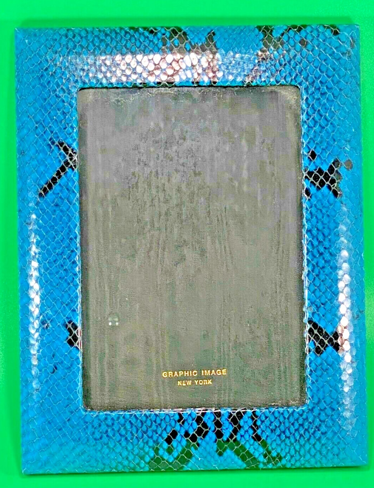 GRAPHIC IMAGE Python Frame, 8″ x 10″ Picture photo frame free-standing