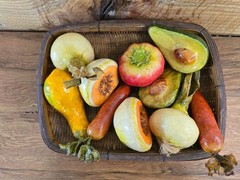 FANTASTIC PAPIER MACHE FRUIT AND VEGETABLES GROUP OF 10
