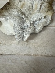 Puma Wall Art Eye-Catching Large Animal Head Fast Shipping