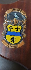 Dublin Ireland Heraldic Artists Vtg Name Crest Plaque Sullivan & Minogue 10″W