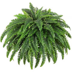 26 In. H Green Artificial Fern Plant with 95 Branches for Indoor and Outdoor Dec
