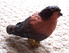 Resin Plastic Hawk Figurine Bird Statue 3″ Tall 3.5″ Long