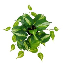 Mainstays Artificial Pothos in White Bubble Ceramic Vase 9-Inch Tabletop Decor