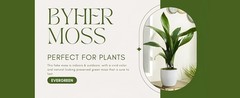 4 OZ Fake Moss for Potted Plants, Artificial Green Moss for Crafts Faux Moss for