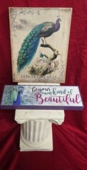 2pc Peacock Inspirational Wall Sign Plaque Set Ready To Hang FAST SHIPPING