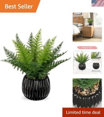 Elegant 12.6″ Faux Fern in Black Ceramic Pot – Low Maintenance Indoor Décor