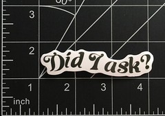 Did I Ask Vinyl Sticker Funny Saying Quote Black White Durable Waterproof