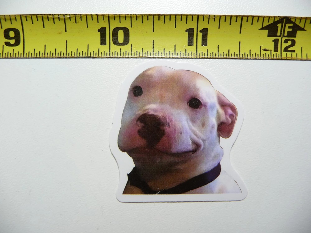 FUNNY DOG SMALL STICKER DECAL AX125 PITBULL SIZE FUN HI PET FUNNY