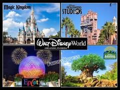 DISNEYWORLD PARKS PHOTO MAGNET large 5.25 X 4 INCHES