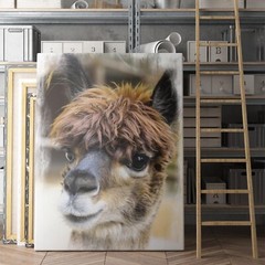 Alpaca Canvas Wall Art Print | Farm Animal Home Decor