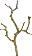 Set of 24 Mini 12″ Brown Twig Artificial Branches – Silk Flowers Decor
