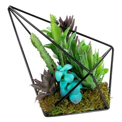 Northlight 6.75″ Artificial Succulents Arrangement in Diamond Metal Wire Frame
