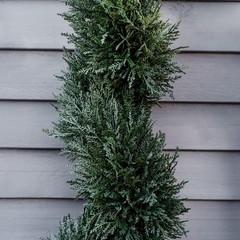 Easy-Care Spiral Artificial Cedar Tree 35.5in Height 7in Diameter