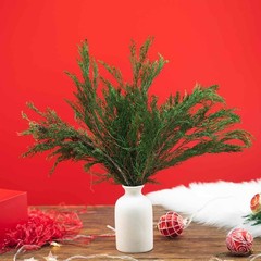 4OZ Preserved Real Pine Leaves Branches -17» Natural Greenery Plants Twigs S…