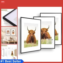 Picture Frame Set of 3 16×24 Black Thin Border Display 12×18 with Mat or 16×24