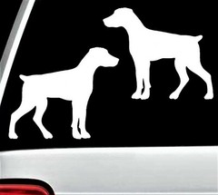 Doberman Pinscher Natural Ears Min Pin Decal Sticker for Car Window BG 780