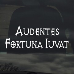 Audentes Fortuna Iuvat Vinyl Sticker/Decal Latin Saying Fortune Favors The Bold