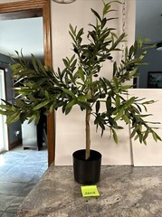 RARE 36” Wicker Park Faux OLIVE TREE 3ft Indoor Outdoor Landscape Growers Pot