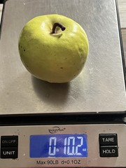 X1 Vintage Italian Alabaster Stone Fruit Green Apple PatinaMarbleRealistic 10Oz
