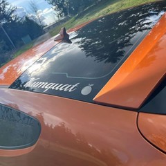 Custom Car Decal – Personalized Text Sticker Window Windshield Truck Bumper Hood