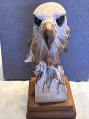 Bald Eagle Head/Bust Figurine Statue, Approx 13.5″ Home~Office~Desk~Study