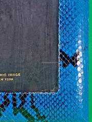 GRAPHIC IMAGE Python Frame, 8″ x 10″ Picture photo frame free-standing